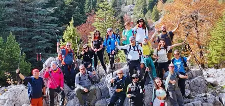 Ormana Göç Yolu